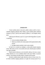 Referāts 'Sabiedrības integrācijas pētījumi', 12.