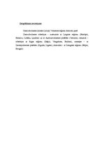 Referāts 'Dienvidvidzeme', 4.