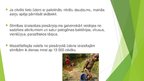 Prezentācija 'Vides piesārņojums', 13.