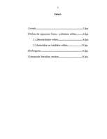 Referāts 'Valsts izpausmes forma - politiskais režīms', 2.