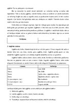 Prezentācija 'Kunga apģērbs - etiķete', 3.