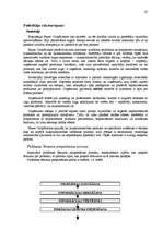 Diplomdarbs 'Mārketinga plāns "Bayer CropScience" produkcijai', 24.