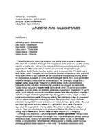 Referāts 'Latvijā sastopamās lašveidīgo zivis', 2.