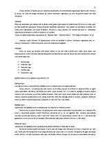 Prakses atskaite 'Uzziņu dienesta 1188 uzņēmuma analīze', 10.