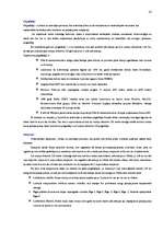 Prakses atskaite 'Uzziņu dienesta 1188 uzņēmuma analīze', 12.