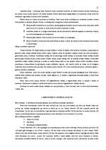 Prakses atskaite 'Uzziņu dienesta 1188 uzņēmuma analīze', 23.