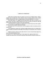 Prakses atskaite 'Uzziņu dienesta 1188 uzņēmuma analīze', 28.