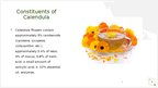 Prezentācija 'Calendula', 3.