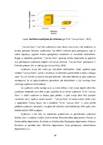 Diplomdarbs 'Personāla apmierinātības ar darbu paaugstināšanas iespējas VAS "Ltvijas Pasts"', 26.