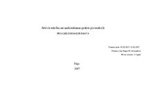 Prakses atskaite 'Aktīvā mācību un audzināšanas prakse pirmsskolā', 2.