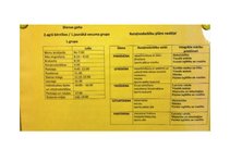 Prakses atskaite 'Aktīvā mācību un audzināšanas prakse pirmsskolā', 7.