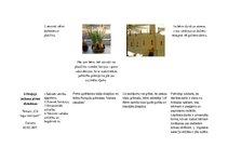 Prakses atskaite 'Aktīvā mācību un audzināšanas prakse pirmsskolā', 24.