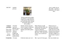 Prakses atskaite 'Aktīvā mācību un audzināšanas prakse pirmsskolā', 29.