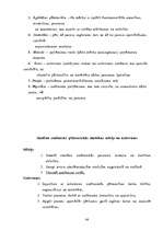 Diplomdarbs 'Projekts kā personības attīstības līdzeklis sākumskolā', 51.