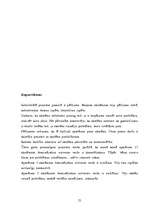 Diplomdarbs 'Projekts kā personības attīstības līdzeklis sākumskolā', 78.