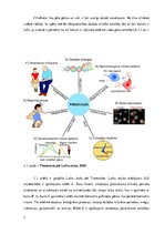 Referāts 'Kā vides faktori ietekmē gēnus un kā gēni ietekmē vides faktorus', 7.