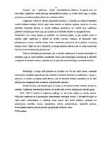 Prakses atskaite 'Mārketinga prakses atskaite. SIA "xxx" nekustamā īpašuma apsaimniekošana', 14.