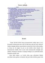 Referāts 'Ārvalstu kredītu ietekme uz Latvijas tautsaimniecību', 2.