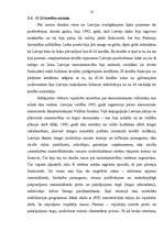 Referāts 'Ārvalstu kredītu ietekme uz Latvijas tautsaimniecību', 18.