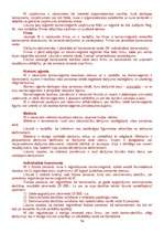 Konspekts 'Tiesības', 74.