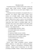 Referāts 'Privatizācija', 11.