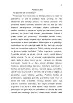 Referāts 'Privatizācija', 13.