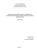 Referāts 'Digitālo paaudžu interneta lietojuma atšķirības fanu kultūras ietvaros: hokeja k', 1.