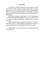 Referāts 'Digitālo paaudžu interneta lietojuma atšķirības fanu kultūras ietvaros: hokeja k', 3.
