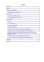 Referāts 'Digitālo paaudžu interneta lietojuma atšķirības fanu kultūras ietvaros: hokeja k', 6.