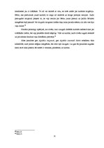 Referāts 'Digitālo paaudžu interneta lietojuma atšķirības fanu kultūras ietvaros: hokeja k', 17.