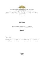 Konspekts 'Komercdarbības skaidrojums. Likumdošana', 1.