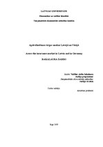 Diplomdarbs 'Apdrošināšanas tirgus analīze Latvijā un Vācijā', 1.