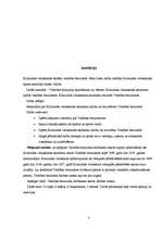 Referāts 'Vienības brauciens', 3.