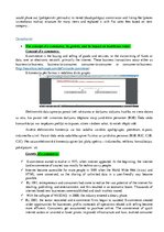 Paraugs 'Ebay Now', 4.