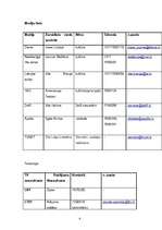 Konspekts 'Mediju plāns', 4.