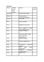 Konspekts 'Mediju plāns', 7.