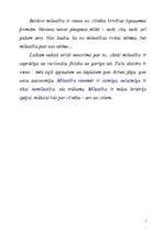 Eseja 'Mīlestības ētika', 7.