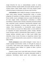 Referāts 'Pakalpojuma uzņēmuma organizēšana', 13.