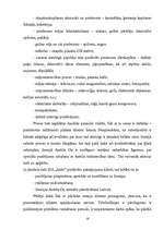 Referāts 'Pakalpojuma uzņēmuma organizēšana', 16.