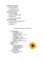 Biznesa plāns 'Sabiedrība ar ierobežotu atbildību "Vinterselta"', 6.