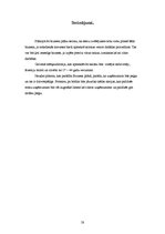 Biznesa plāns 'Sabiedrība ar ierobežotu atbildību "Vinterselta"', 28.