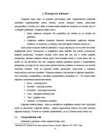Diplomdarbs 'Transporta maršrutizācijas problēmu risināšanas iespējas', 9.