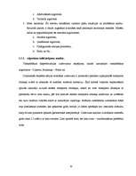 Diplomdarbs 'Transporta maršrutizācijas problēmu risināšanas iespējas', 32.