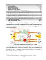 Diplomdarbs 'Transporta maršrutizācijas problēmu risināšanas iespējas', 53.