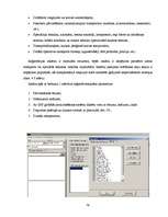 Diplomdarbs 'Transporta maršrutizācijas problēmu risināšanas iespējas', 79.