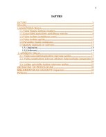 Referāts 'Konsolidēta kopbudžeta izdevumu analīze', 3.