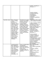 Eseja 'Bērnības rotaļa. rotaļu analīze', 6.