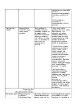 Eseja 'Bērnības rotaļa. rotaļu analīze', 7.