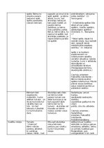 Eseja 'Bērnības rotaļa. rotaļu analīze', 8.