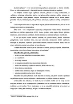 Referāts 'Mārketinga pētījuma veidi', 16.